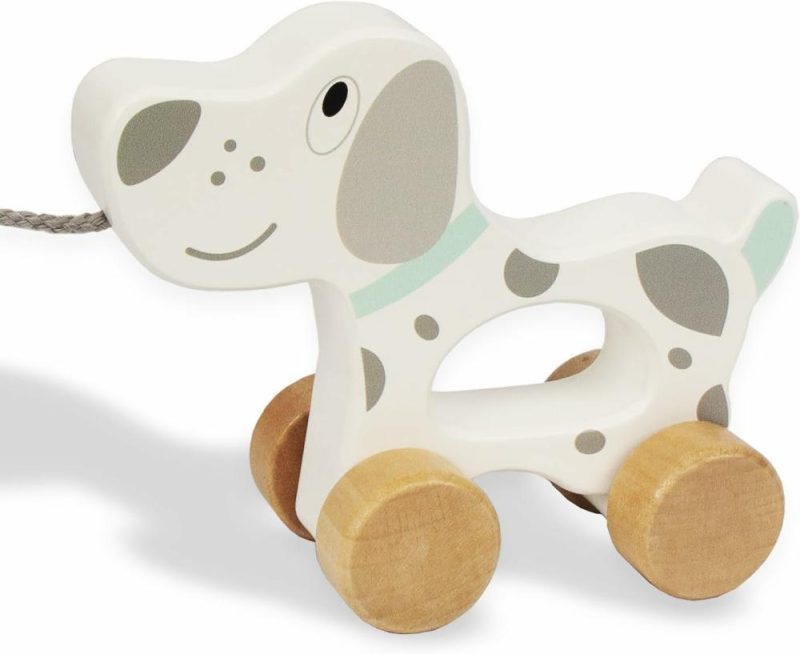 Giocattoli a spingere e trascinare | Baby Toys Car,Gioco da Trazione in Legno per Bambini,Gioco di Sviluppo per Bambino/Bambina di 1 Anno Regalo di Compleanno (Cane)