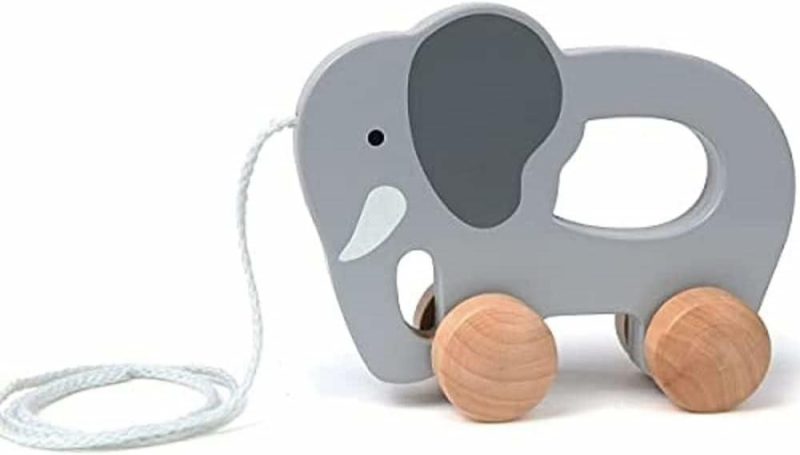 Giocattoli a spingere e trascinare | (Elefante) – Gioco per Bambini in Legno da Togliere e Mettere Indietro, Grigio